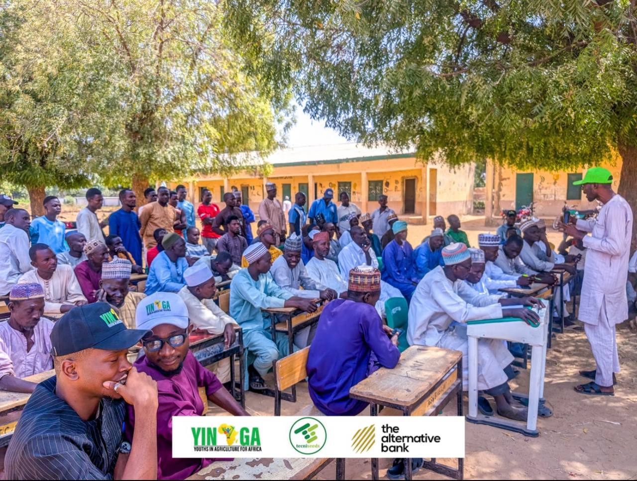Jigawa Improved Seeds — Photo 8